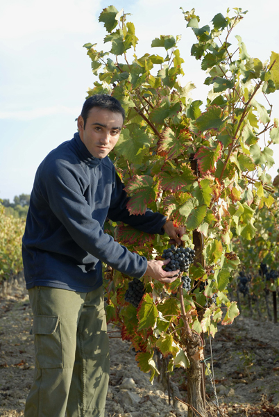 Domaine la Soumade
