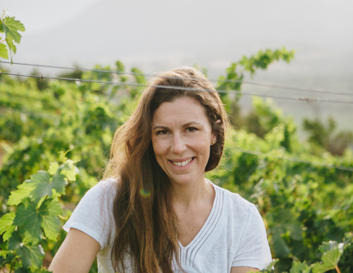 Domaine Castellu di Baricci