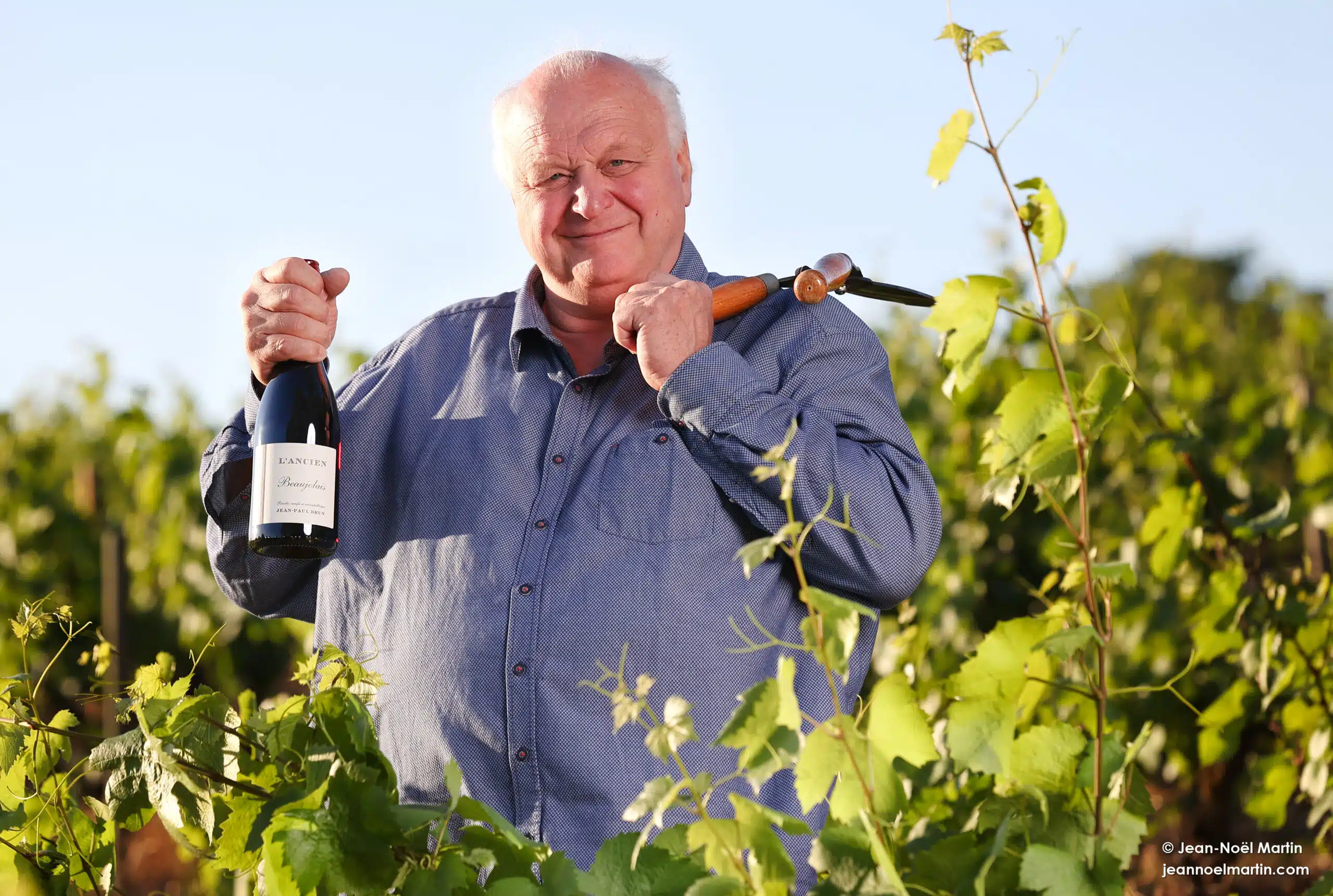 Domaine des Terres Dorées