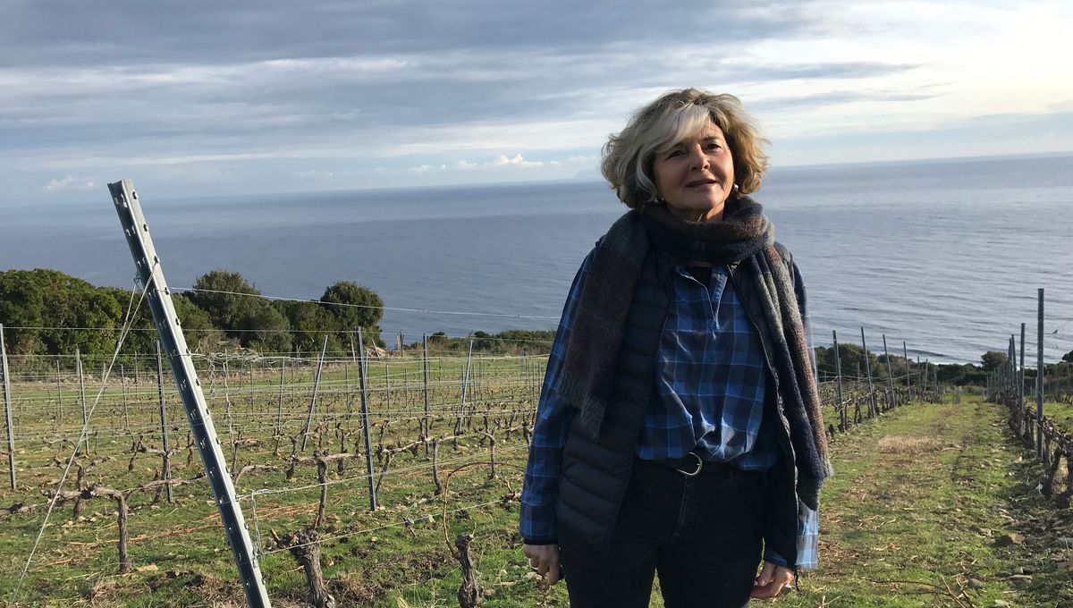 Domaine Pieretti