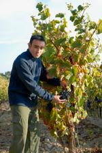 Domaine la Soumade