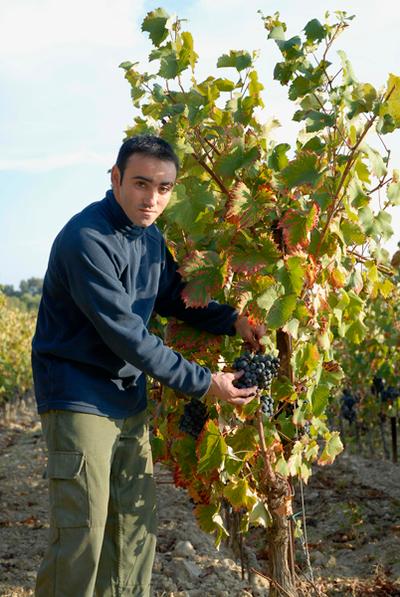 Domaine la Soumade